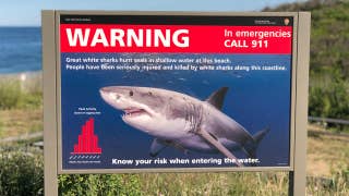 Spike in shark sightings off Cape Cod alarms swimmers, keeps them close to shore - Fox News