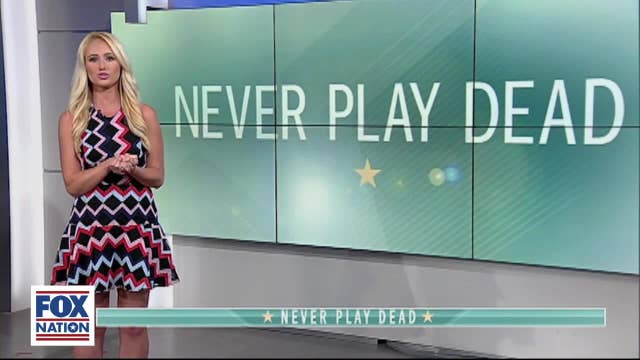 Fox Nation Tomi Lahren Unveils New Book Never Play Dead Latest News 0432