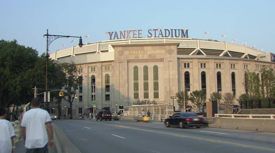 New York鈥檚 Yankee Stadium hit by swarm of 25,000 bees