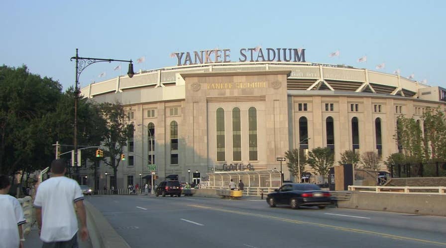 New York’s Yankee Stadium hit by swarm of 25,000 bees