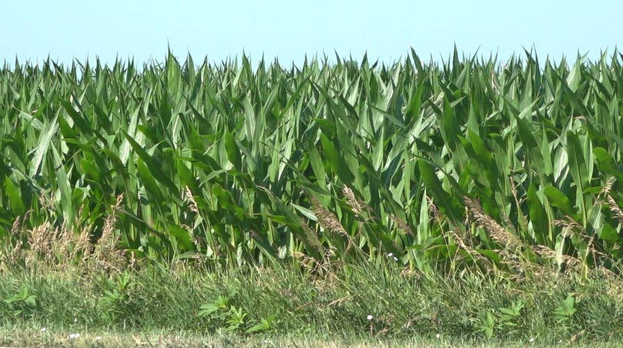 Businesses in Midwest is getting creative to attract workers