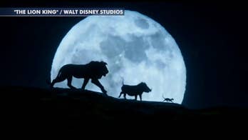 WATCH: Donkey joins in as South Carolina man sings 'Lion King' song 'Circle of Life'