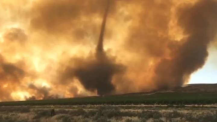 Powerful winds stir up ‘fire whirl’ in the state of Washington