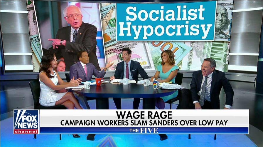 Gutfeld on Bernie Sanders' staffers complaining about wages