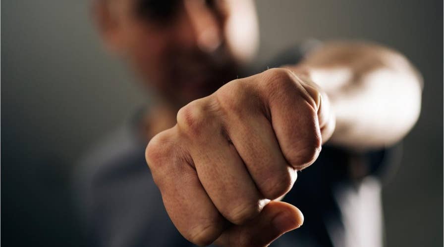 Big fight at county fair, injures horse and deputies