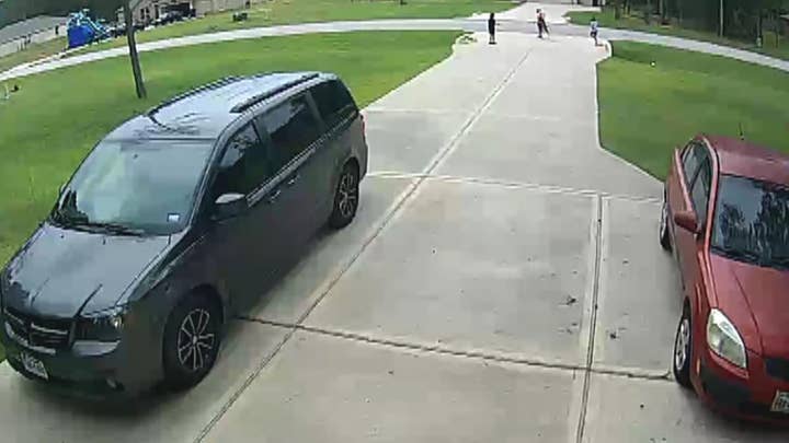 19-year-old man rescues boy from dog attack