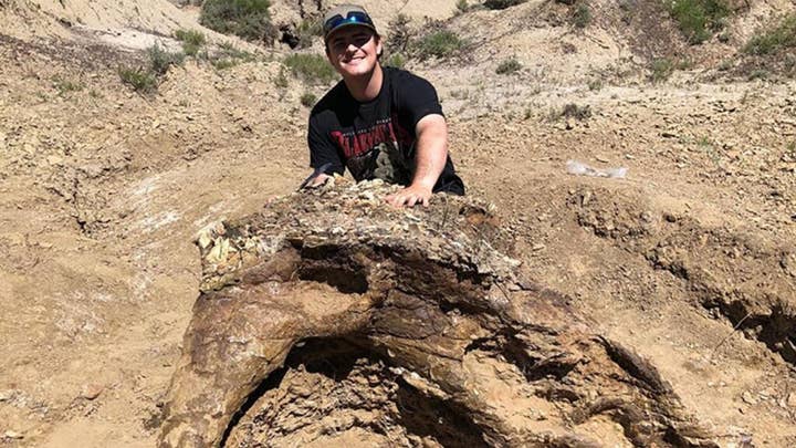 College student finds 65-million-year-old fossil of Triceratops skull in North Dakota badlands