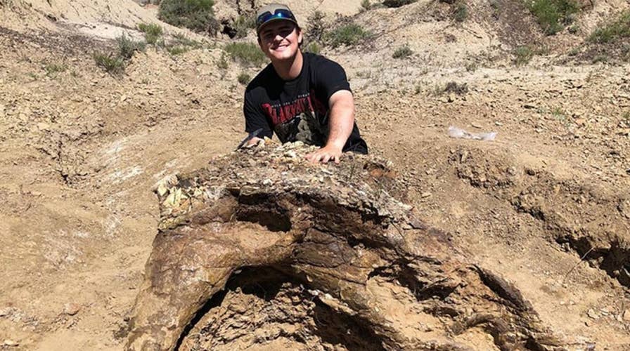 College student finds 65-million-year-old fossil of Triceratops skull in North Dakota badlands