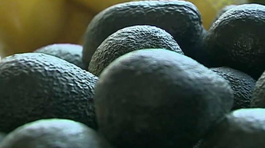 Avocado price spike reportedly forcing some eateries to use squash in their guacamole