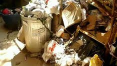 GOP strategist calls Elijah Cummings’ district ‘most dangerous’ in America