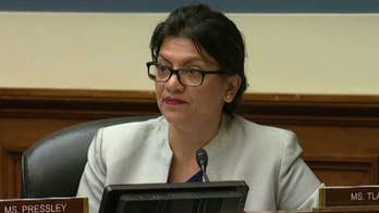 Rep. Tlaib likens boycott of Israel to Nazi Germany