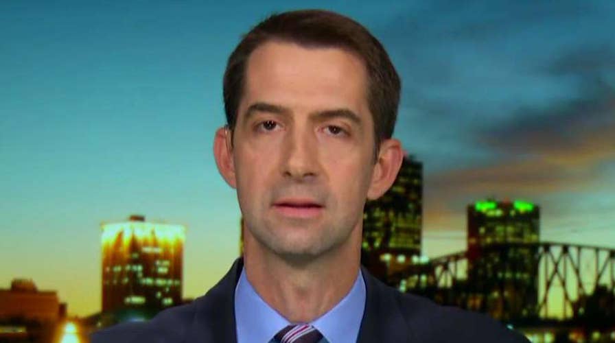 Sen. Cotton on felons released under First Step Act: I knew this would happen