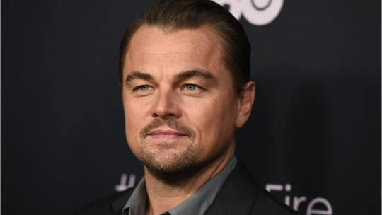 Leonardo DiCaprio-backed fund pledges $5M in aid for Amazon wildfires