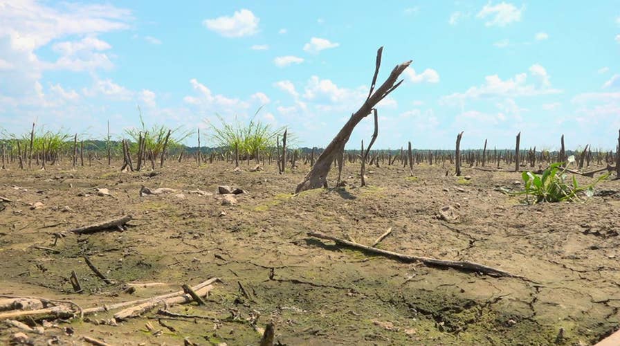 Mississippi farmers suffering after widespread flooding ruins planting season