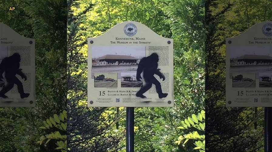 Gunshots fired in alleged Bigfoot encounter near Mammoth Cave campsite