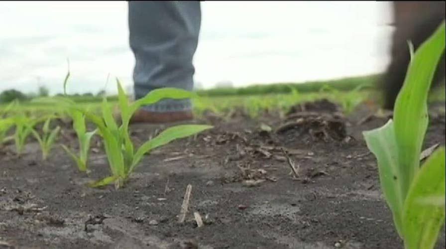 Mississippi farmer struggling after widespread flooding ruins planting season