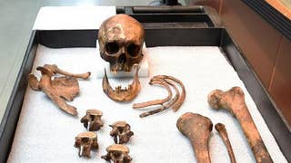 Remains of 19th-century ‘vampire' identified - Fox News