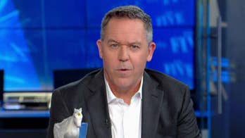 Gutfeld on this weekend's deadly shootings