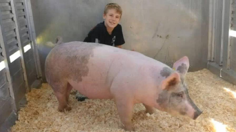 Boy raises more than $11K for St. Jude by auctioning hog