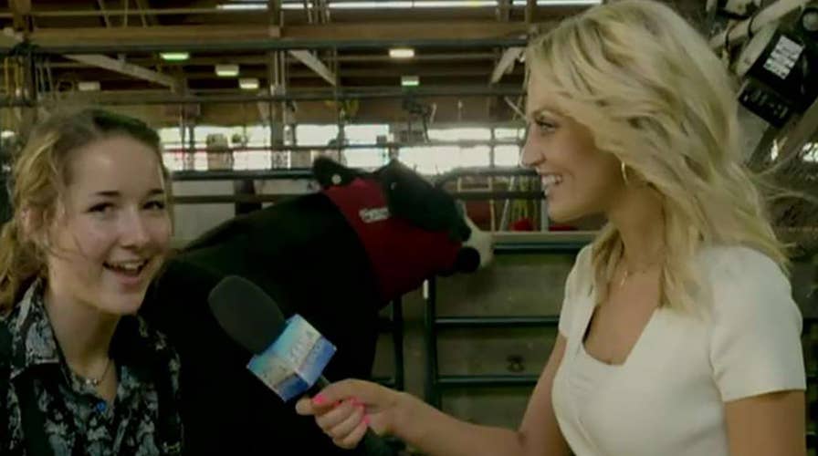 A look at the 2019 Wisconsin State Fair