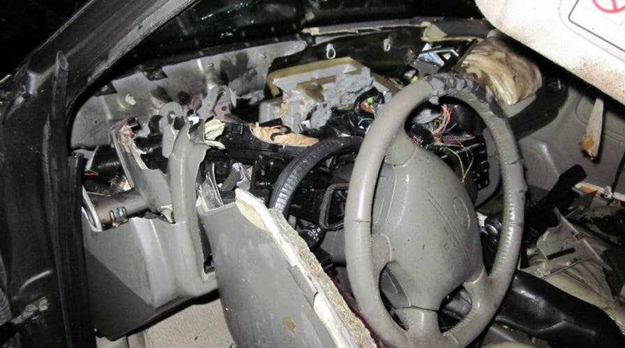 'Vandal' bear wrecks car after getting locked inside