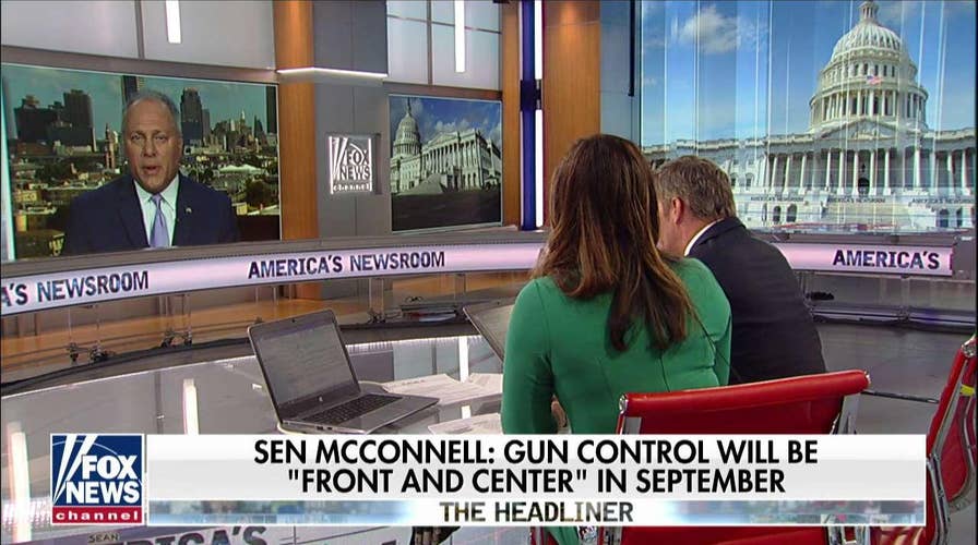 Steve Scalise: new proposed gun laws would not have stopped my attacker