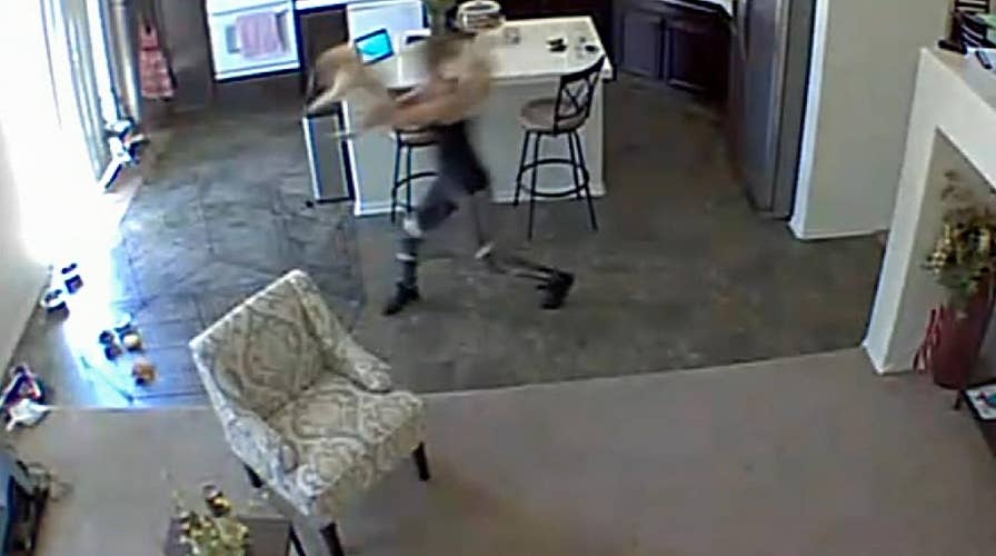 Surveillance video shows pet sitter slamming puppy to ground