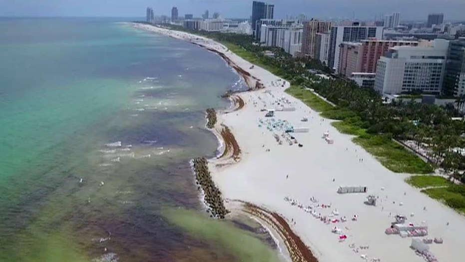 Tourist beach towns call seaweed invasion a ‘crisis’ Fox News