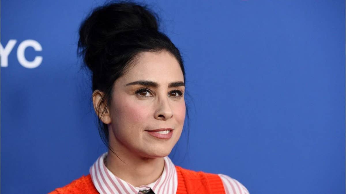 Sarah Silverman Porn Double - Sarah Silverman reveals she was once fired over an old photo of herself in  blackface: 'I didn't fight it' | Fox News