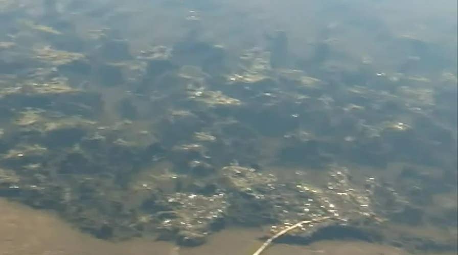 NC woman's three dogs die after playing in pond with toxic algae