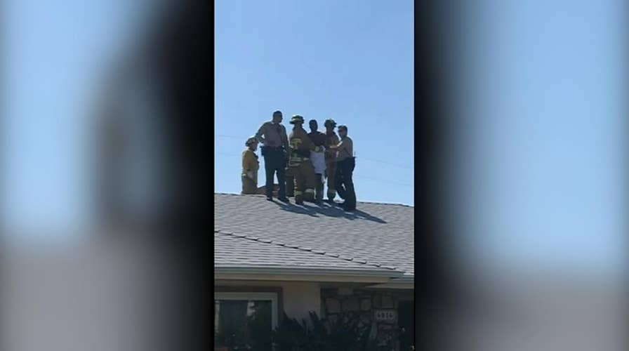 Naked burglary suspect found stuck in chimney