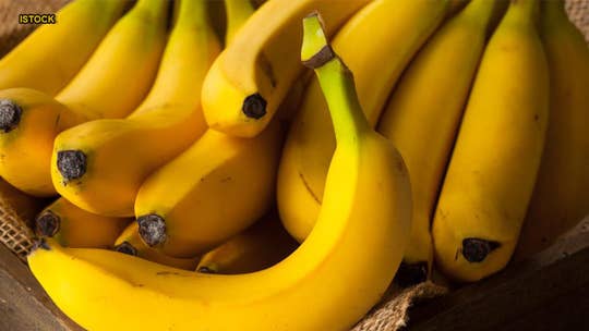Banana-targeting fungus may cause 'apocalyptic scenario' for the fruit