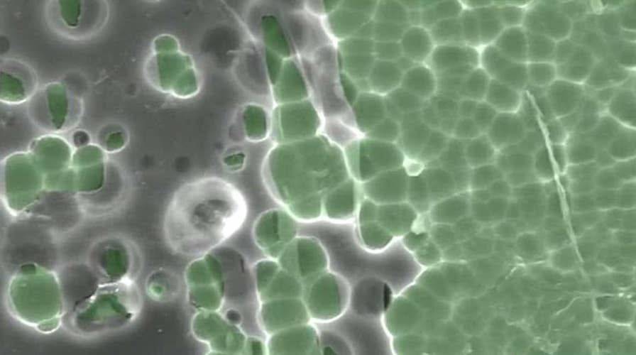 how to solve the problem of plastic Scientists discover two new ways to eliminate plastic waste