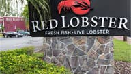 Red Lobster CEO says plant-based seafood is 'terrible,' has no plans to add it to menu