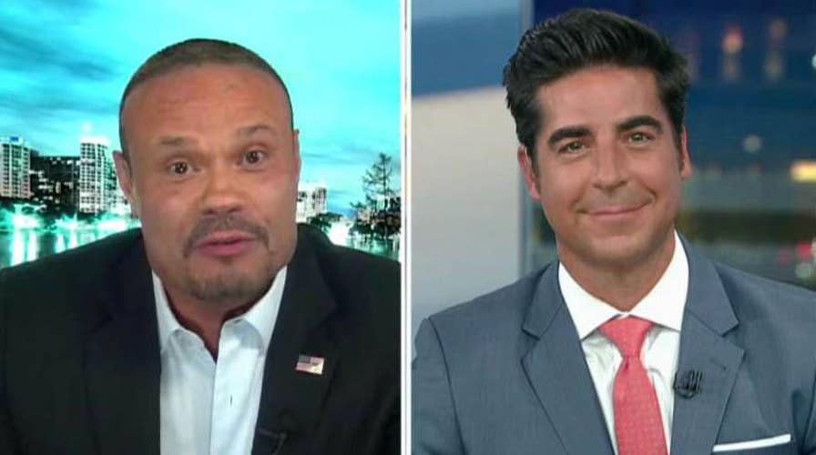 Dan Bongino on NBC analyst comparing Trump supporters to a 'terrorist organization'