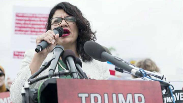 Rep. Tlaib refuses Israeli offer of humanitarian visit