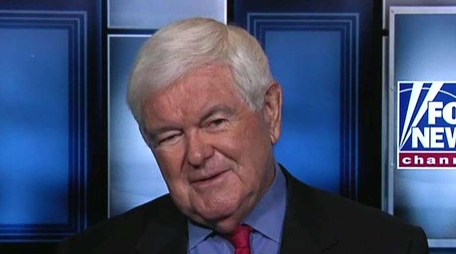 Gingrich on Tlaib visiting Israel, Trump's New Hampshire rally, 2020 Democrat polls