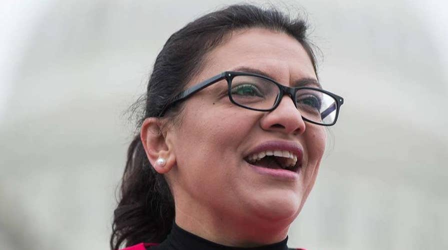 Tlaib signals she won't visit Israel after all despite getting permission