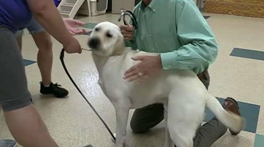 Spike makes friends in college!