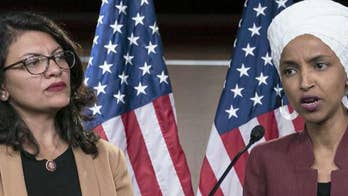 House Dems could retaliate against US and Israel ambassadors after banned visit: report