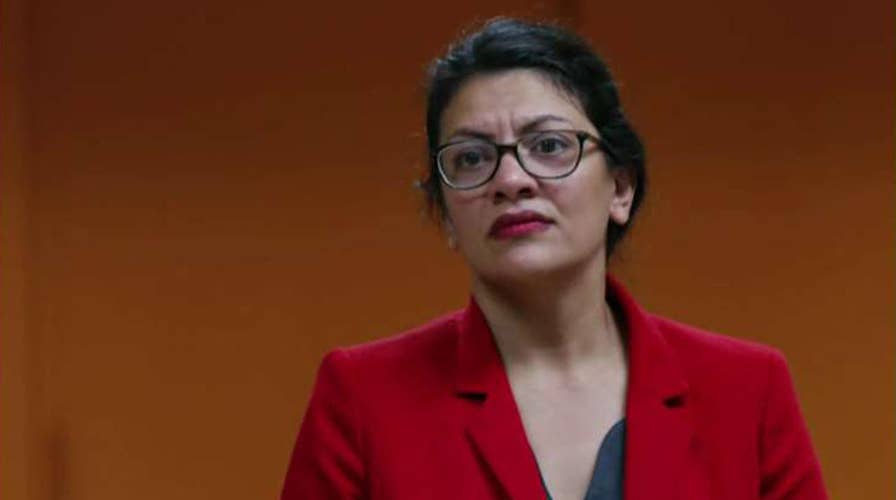 Tlaib forgoes trip to West Bank to see grandmother, blasts Israel for 'oppressive conditions'