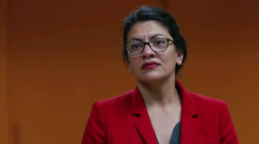 Tlaib forgoes trip to West Bank to see grandmother, blasts Israel for 'oppressive conditions'