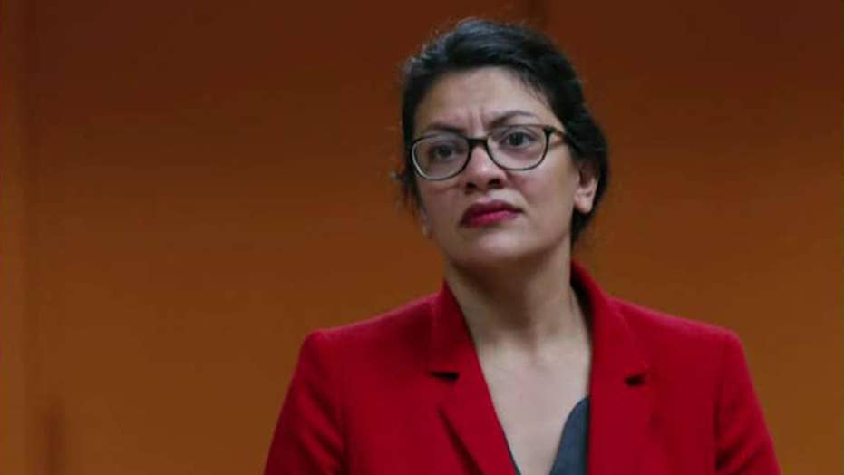 Tlaib forgoes trip to West Bank to see grandmother, blasts Israel for 'oppressive conditions'