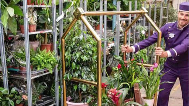 World’s first 'plant hotel' opens in London