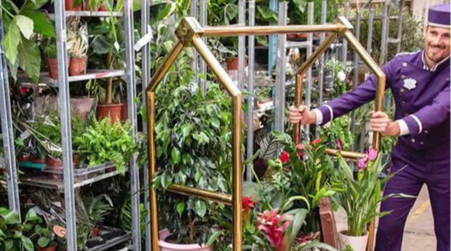 World’s first 'plant hotel' opens in London