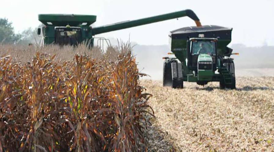 How have Trump's trade policies impacted farmers?