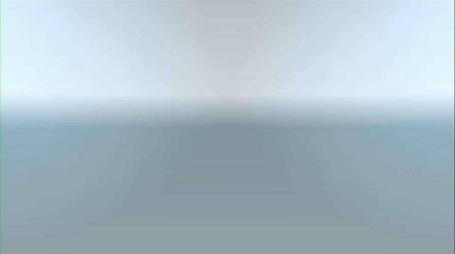 Juan Williams on Trump Twitter Attack