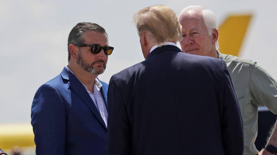 Sen. Cruz hits New York Times as 'propaganda outlet by liberals, for liberals'