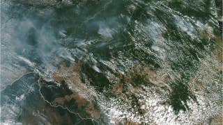 Amazon wildfires can be seen from space - Fox News