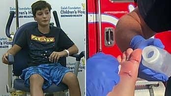 Shark bite leads to 17 stitches for Canadian boy, 11, swimming at Florida beach
